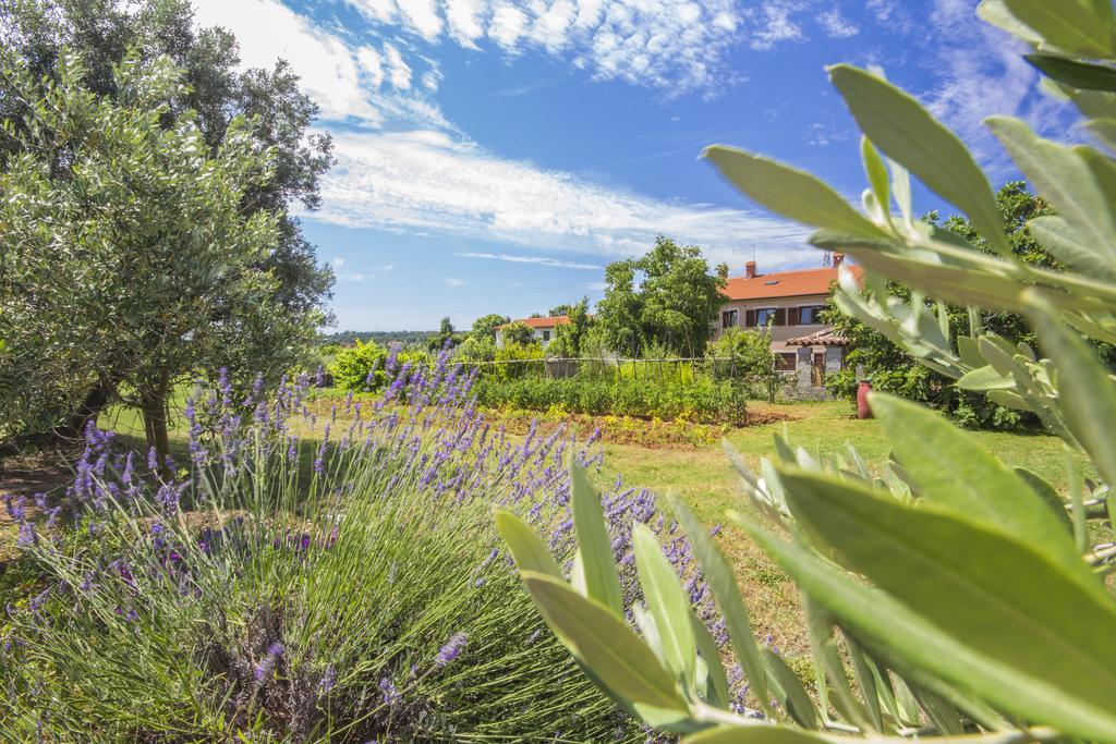 Pula Istria Apartments Exterior photo